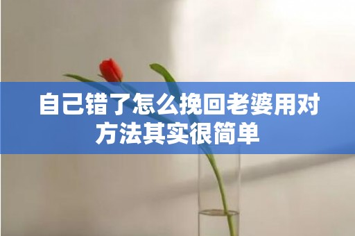 自己错了怎么挽回老婆用对方法其实很简单
