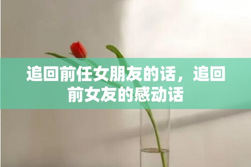 追回前任女朋友的话，追回前女友的感动话