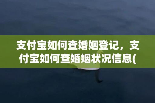 支付宝如何查婚姻登记，支付宝如何查婚姻状况信息(支付宝哪里查婚姻登记信息)