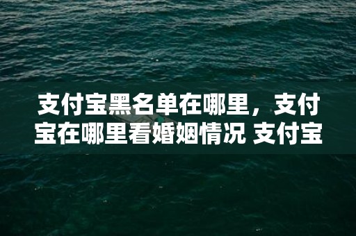 支付宝黑名单在哪里，支付宝在哪里看婚姻情况 支付宝付款信息在哪里查询