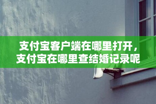 支付宝客户端在哪里打开，支付宝在哪里查结婚记录呢？支付宝如何查询转账记录