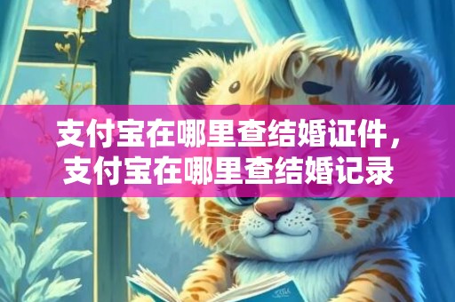 支付宝在哪里查结婚证件，支付宝在哪里查结婚记录