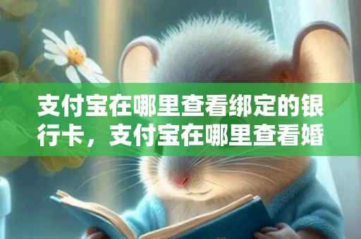 支付宝在哪里查看绑定的银行卡，支付宝在哪里查看婚姻信息呢，支付宝结婚证