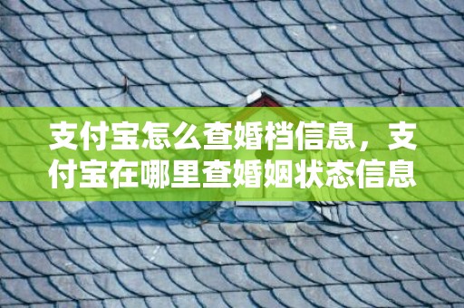 支付宝怎么查婚档信息，支付宝在哪里查婚姻状态信息？支付宝上怎么查询婚姻状况