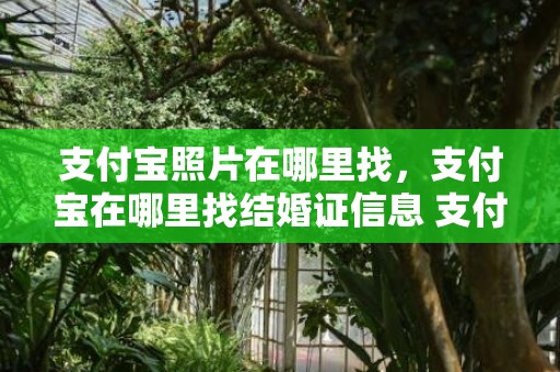 支付宝照片在哪里找，支付宝在哪里找结婚证信息 支付宝 结婚证