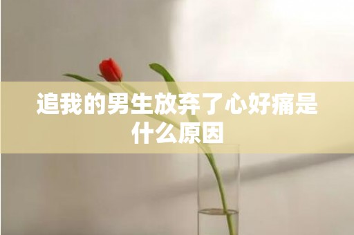 追我的男生放弃了心好痛是什么原因