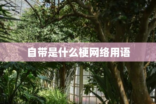自带是什么梗网络用语