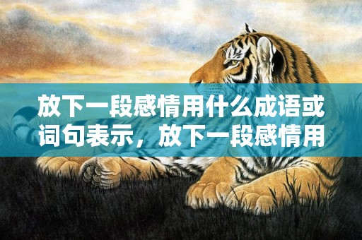 放下一段感情用什么成语或词句表示，放下一段感情用什么词语表达