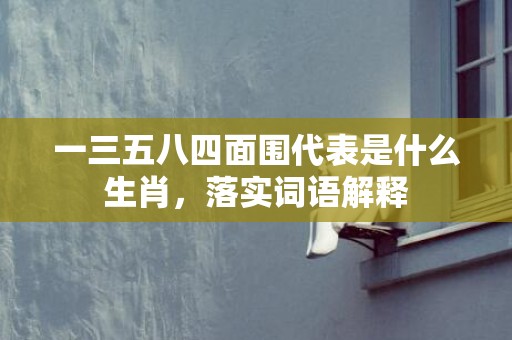 一三五八四面围代表是什么生肖，落实词语解释