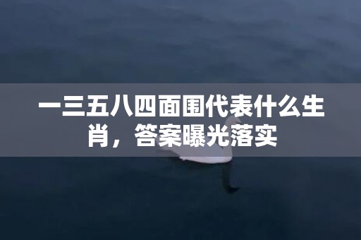 一三五八四面围代表什么生肖，答案曝光落实