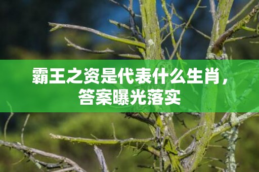 霸王之资是代表什么生肖，答案曝光落实
