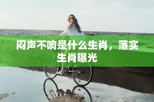 闷声不响是什么生肖，落实生肖曝光