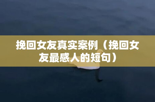 挽回女友真实案例（挽回女友最感人的短句）
