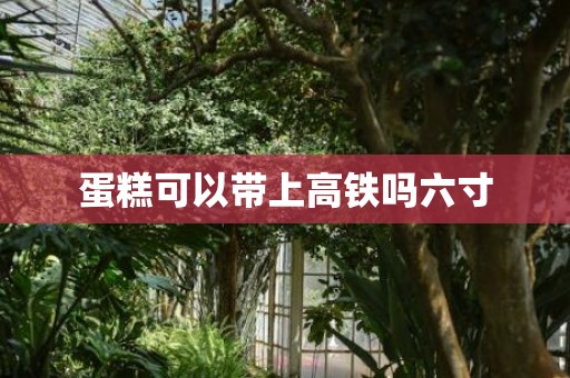 蛋糕可以带上高铁吗六寸