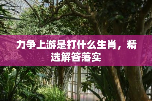力争上游是打什么生肖，精选解答落实