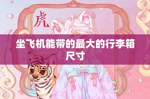 坐飞机能带的最大的行李箱尺寸