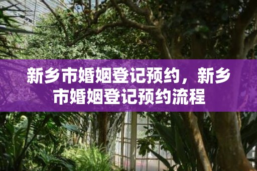 新乡市婚姻登记预约，新乡市婚姻登记预约流程