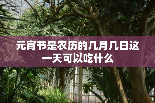 元宵节是农历的几月几日这一天可以吃什么
