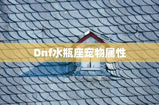 Dnf水瓶座宠物属性