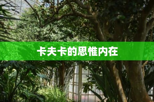 卡夫卡的思惟内在