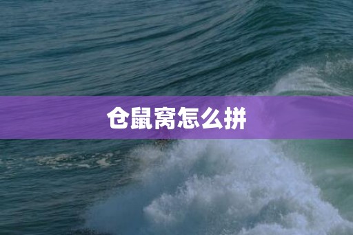 仓鼠窝怎么拼