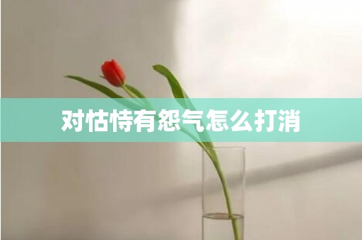 对怙恃有怨气怎么打消