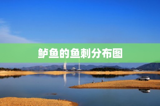 鲈鱼的鱼刺分布图