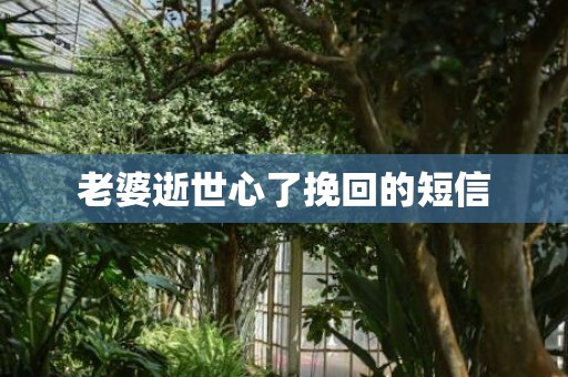 老婆逝世心了挽回的短信