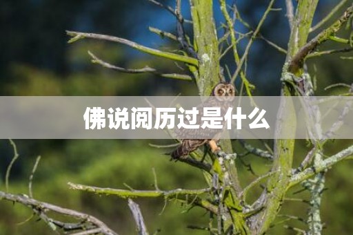 佛说阅历过是什么