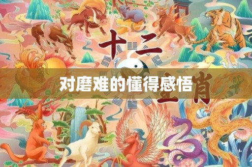 对磨难的懂得感悟
