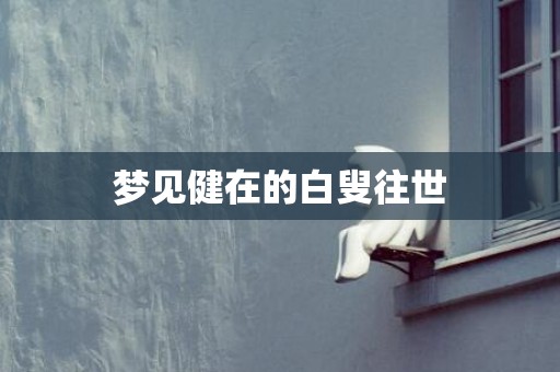 梦见健在的白叟往世