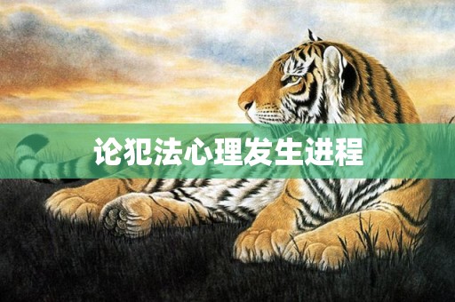 论犯法心理发生进程