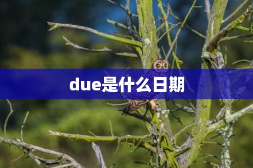 due是什么日期