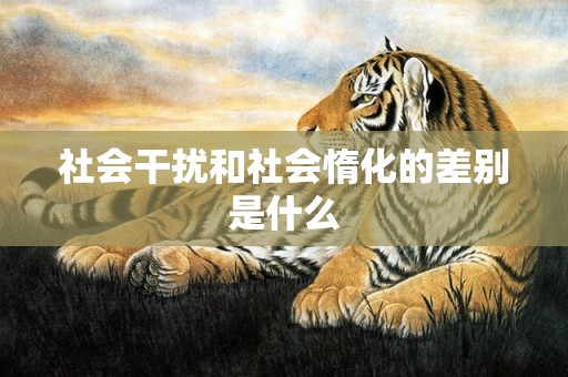 社会干扰和社会惰化的差别是什么