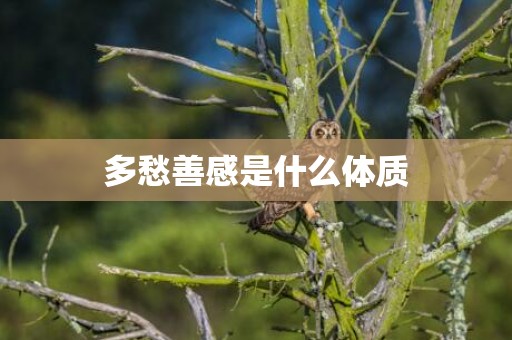 多愁善感是什么体质
