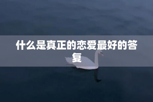 什么是真正的恋爱最好的答复