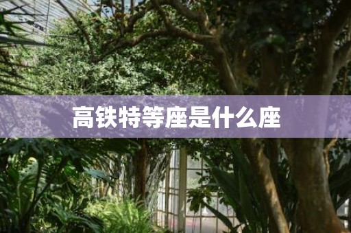 高铁特等座是什么座