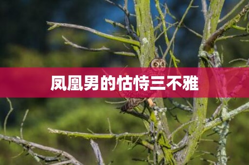 凤凰男的怙恃三不雅