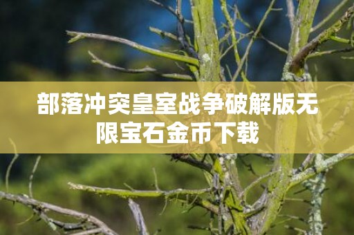 部落冲突皇室战争破解版无限宝石金币下载