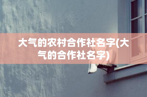 大气的农村合作社名字(大气的合作社名字)
