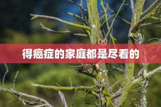 得癌症的家庭都是尽看的