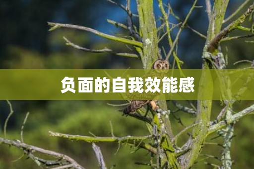 负面的自我效能感