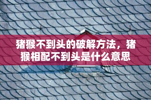 猪猴不到头的破解方法，猪猴相配不到头是什么意思