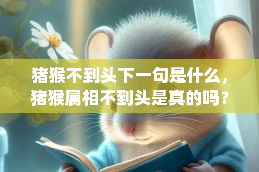猪猴不到头下一句是什么，猪猴属相不到头是真的吗？(猪猴属相相配吗)
