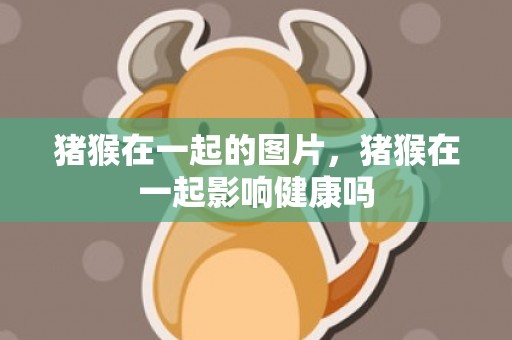 猪猴在一起的图片，猪猴在一起影响健康吗