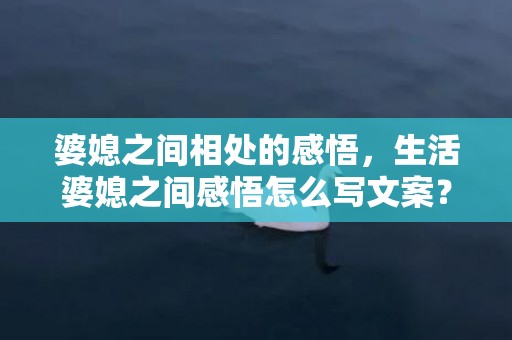婆媳之间相处的感悟，生活婆媳之间感悟怎么写文案？关于婆媳关系好的文案