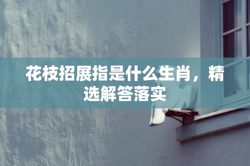 花枝招展指是什么生肖，精选解答落实