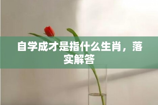 自学成才是指什么生肖，落实解答