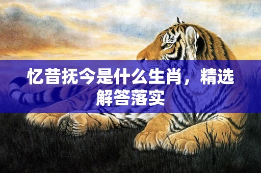 忆昔抚今是什么生肖，精选解答落实