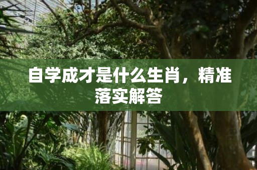 自学成才是什么生肖，精准落实解答
